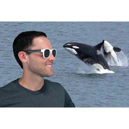 Roshambo Free Willy Junior chrom - okulary przeciwsłoneczne z polaryzacją 5+