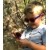 Roshambo Mario Toddler niebieskie - okulary przeciwsłoneczne z polaryzacją 2+