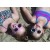 Roshambo Punky Brewster Toddler zielone - okulary przeciwsłoneczne z polaryzacją 2+